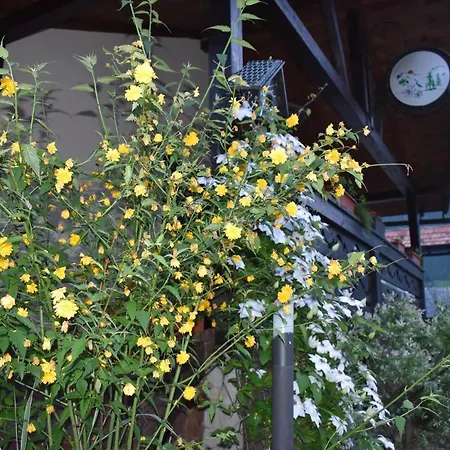 Lodge Clematis House