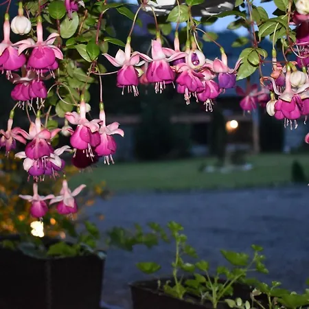 Clematis House