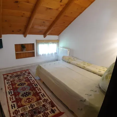 Lodge Clematis House Voronet